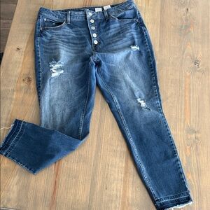 Time and Tru Dark Blue Distressed Skinny Jeans